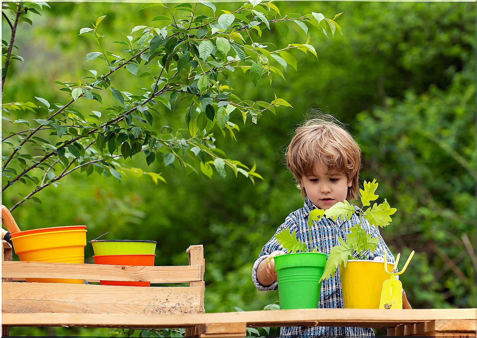 Child planting plants in the garden.