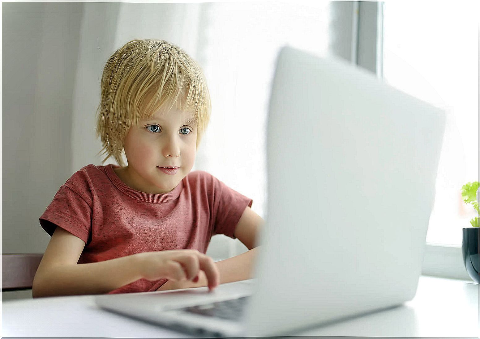 Child studying using social media on computer.