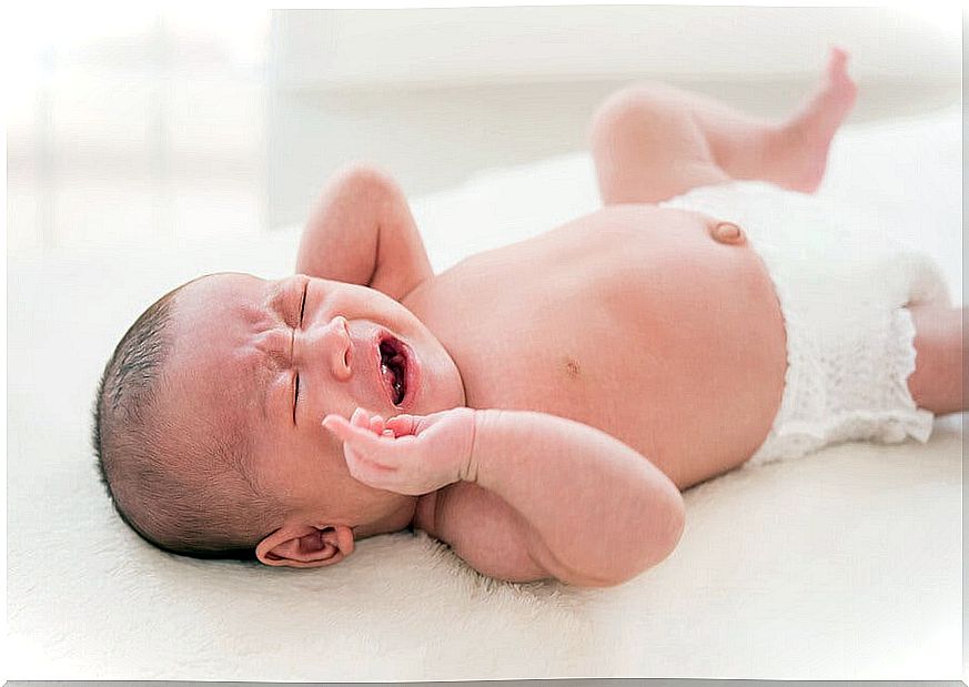 The colic of the newborn generates a lot of crying in the little ones.