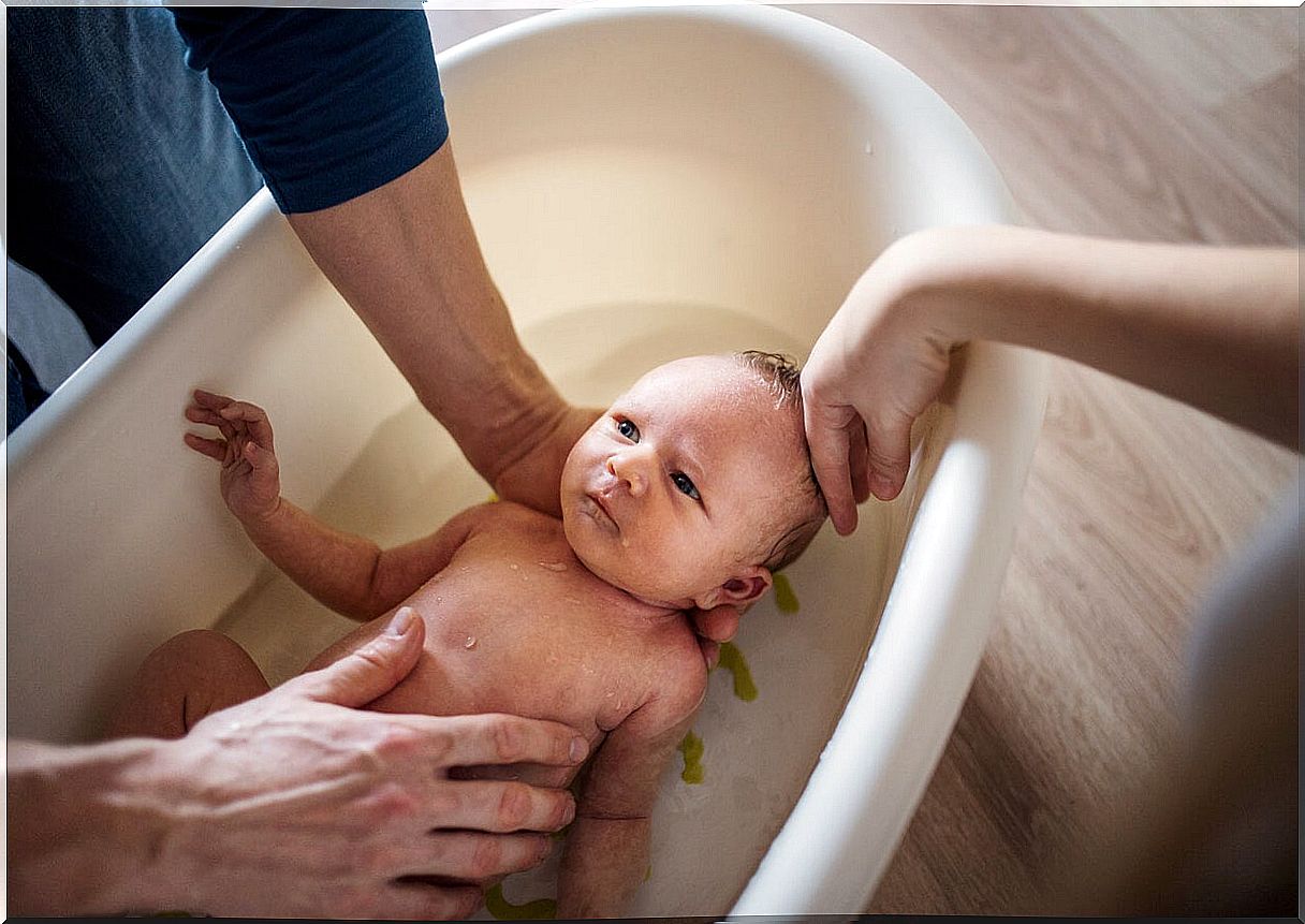 The newborn's bath after the fall of the cord