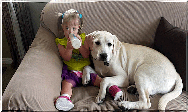 The story of Sadie, the girl with Down syndrome and the dog that takes care of her