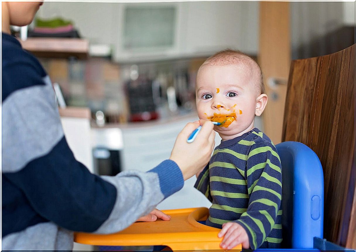 6 nutritious puree recipes for babies