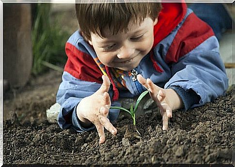 Environmental education for children must start from home.